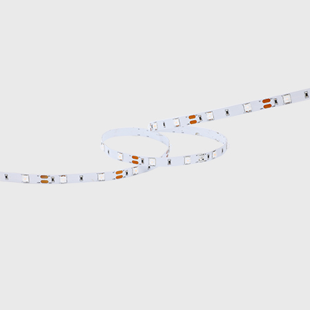 FE19W-P0-G1 60AT8x 24V60S W10L05 160°