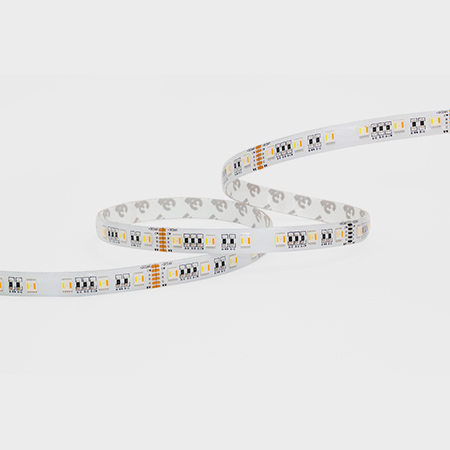 FE24C-P2-G1 50ZRGB8xx 24V60S W12L05
